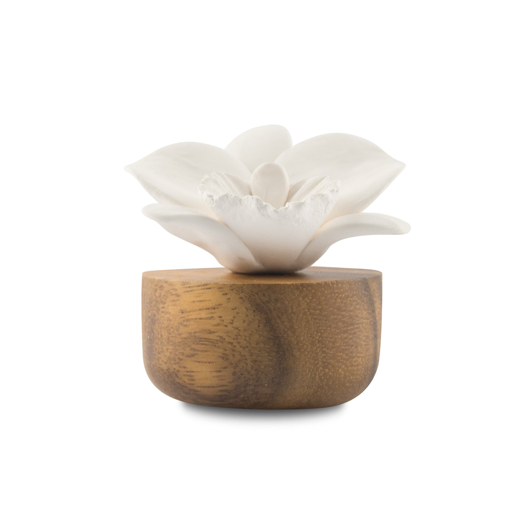 Flower Refreshment Scenting Clay Orchid - HYSSES