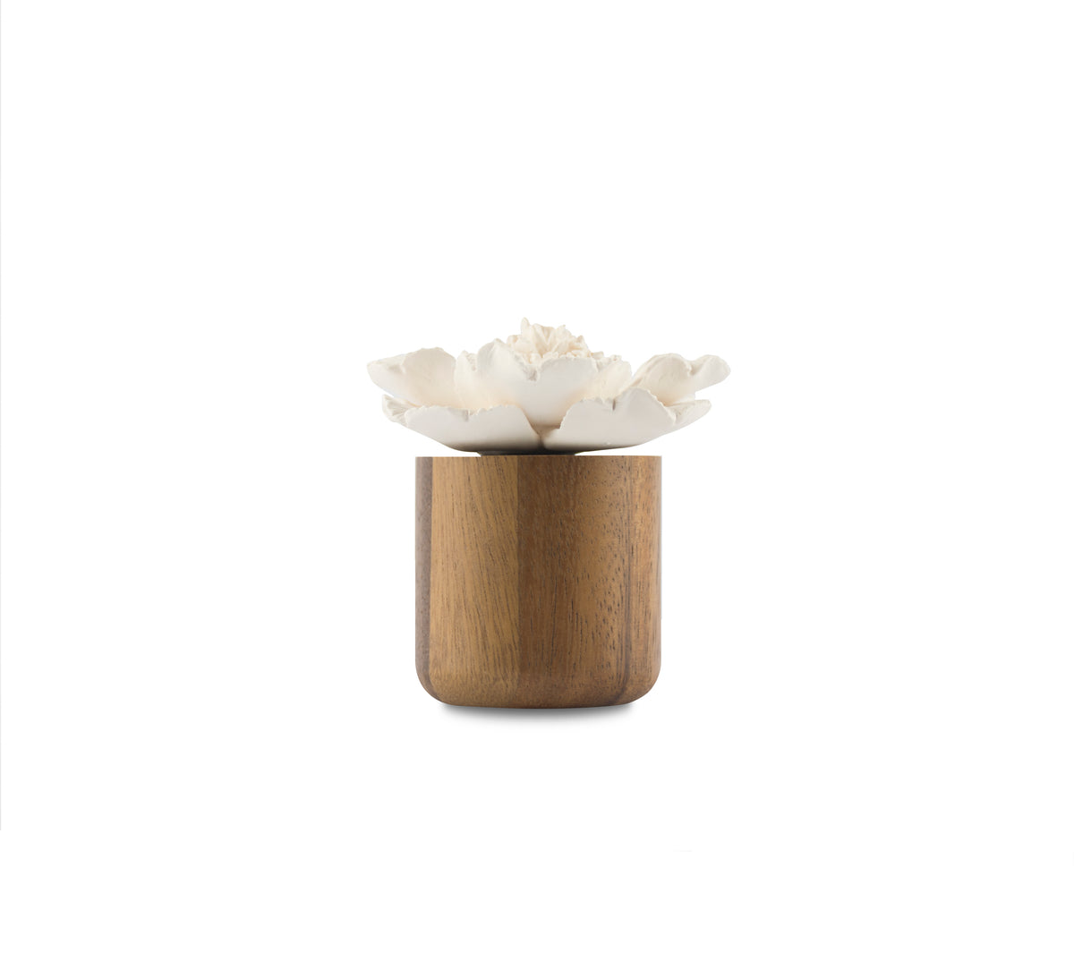 Anemone Flower Scenting Clay Diffuser (Tall Bouquet) - HYSSES