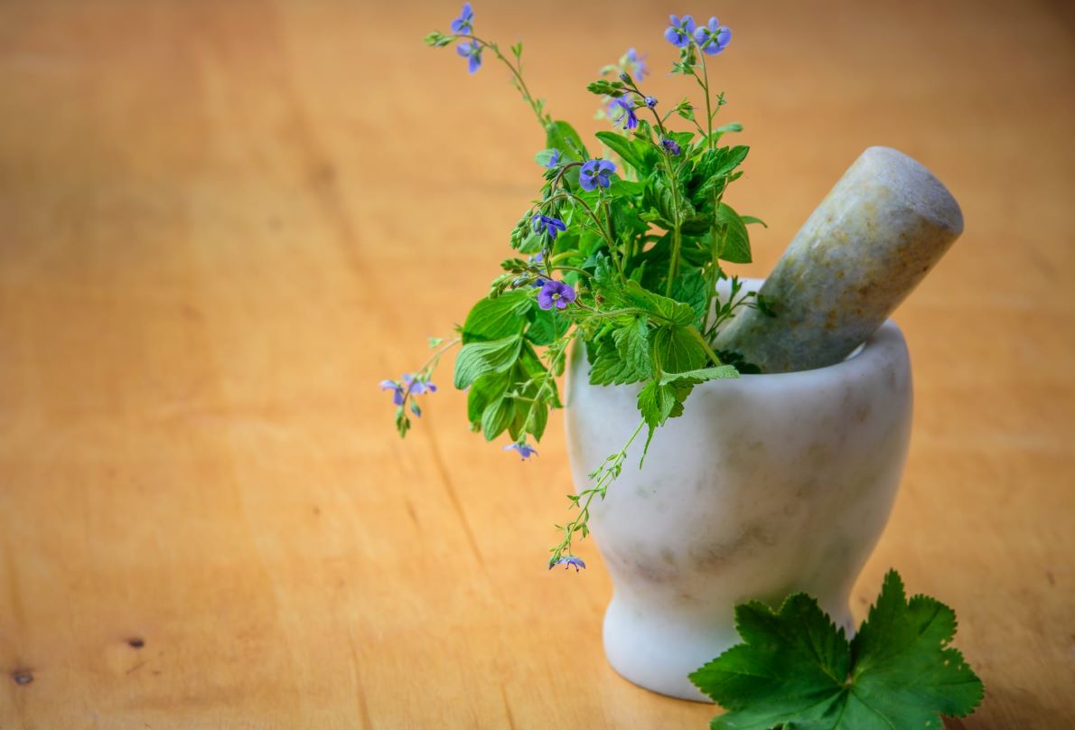 Can Essential Oils Substitue Standard Medications?