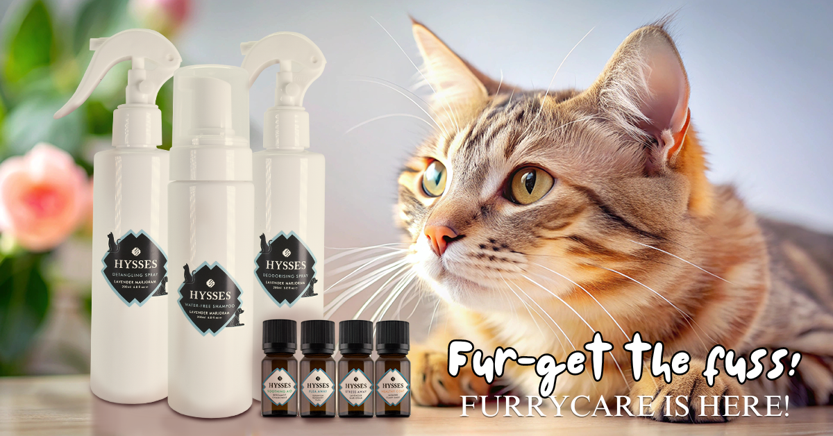 Fur-get the fuss! FurryCare is here!