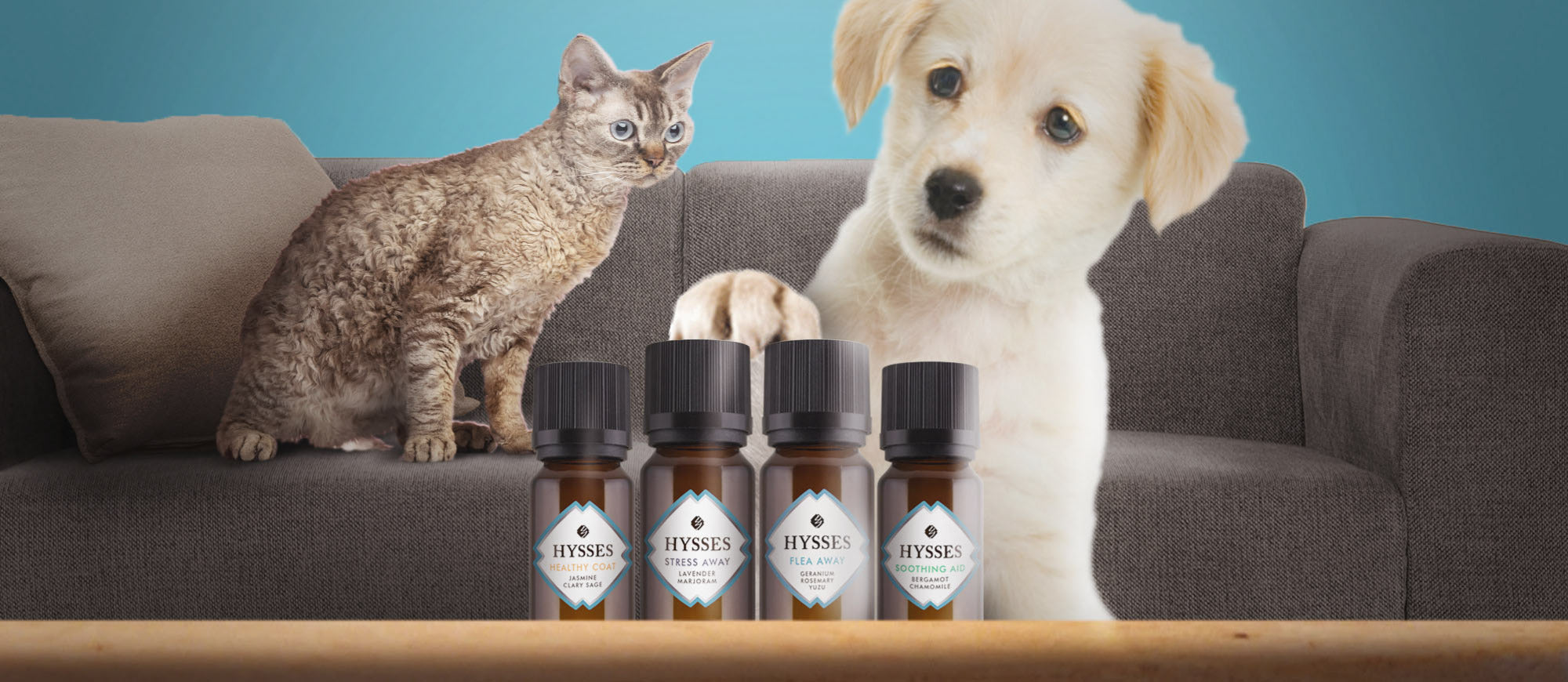 FurryCare Essential Oils