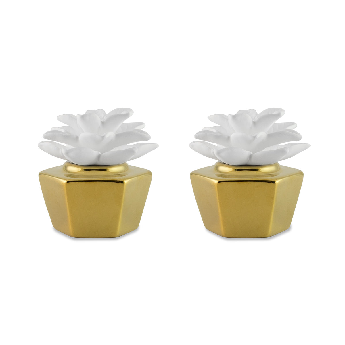 Elegance Gold Clay Diffuser Set of 2 - HYSSES