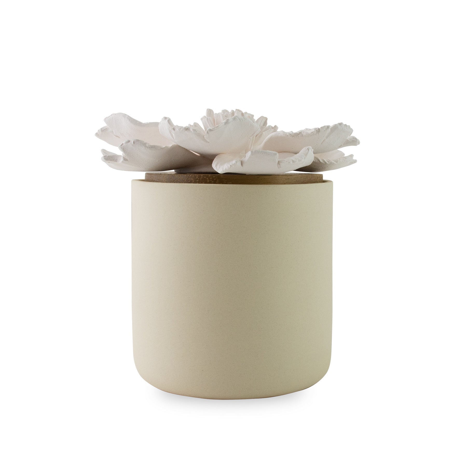 Peony Bloomster Pot Clay Diffuser - HYSSES