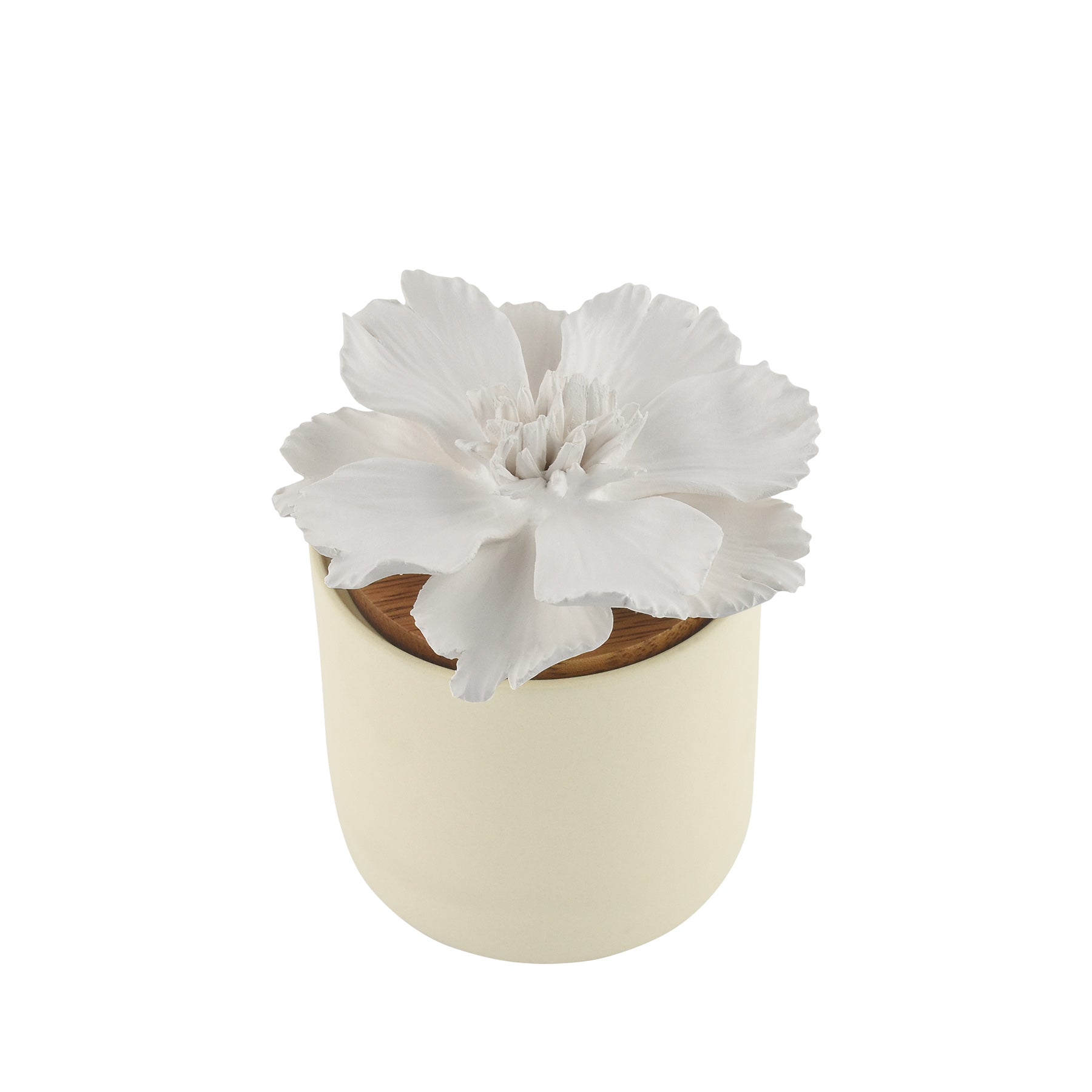 Peony Bloomster Pot Clay Diffuser - HYSSES
