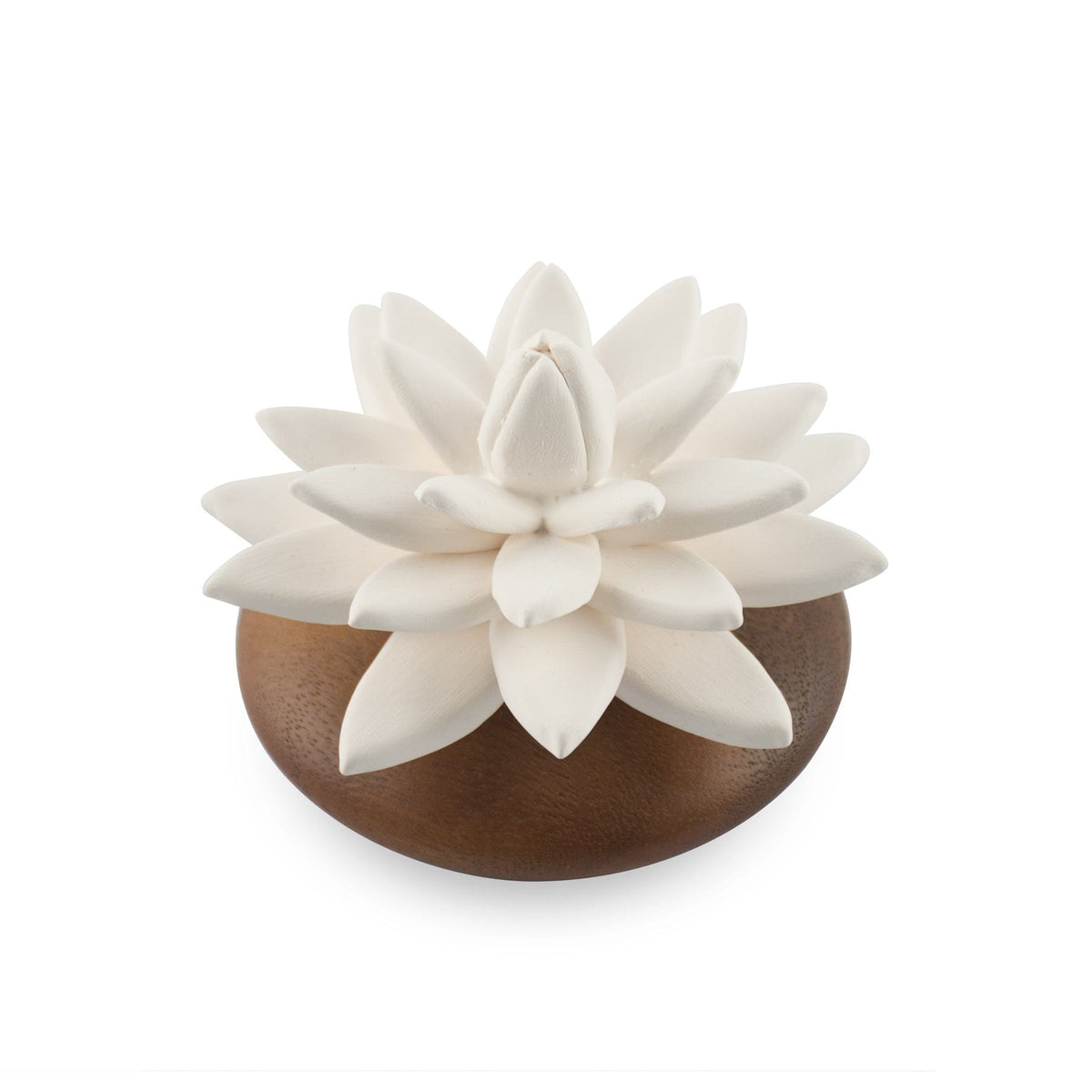 Water Lily Succulent Scenting Clay - HYSSES
