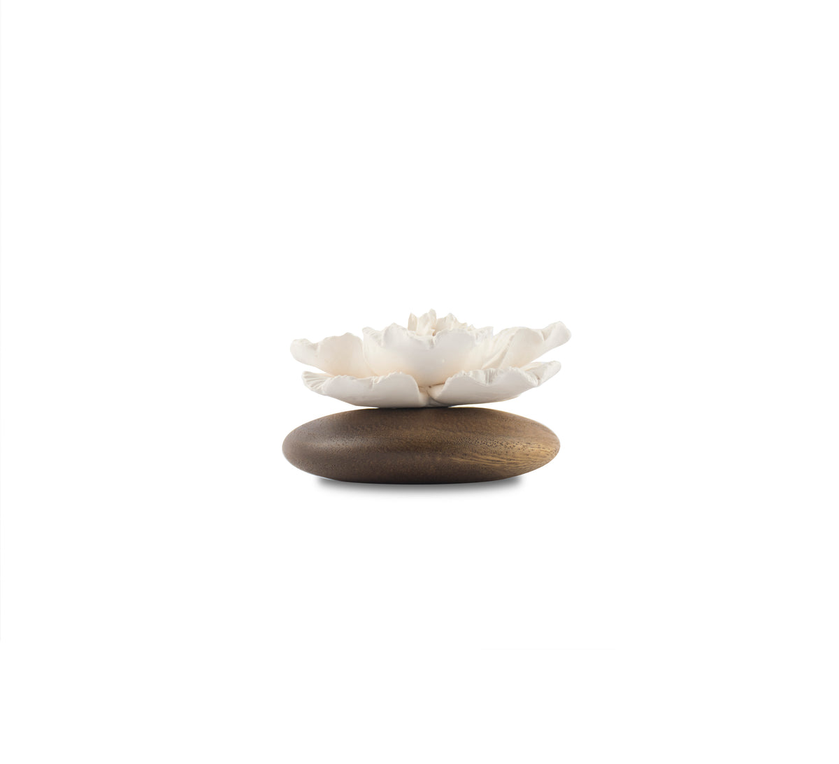 Anemone Flower Scenting Clay Diffuser (Short Bouquet) - HYSSES