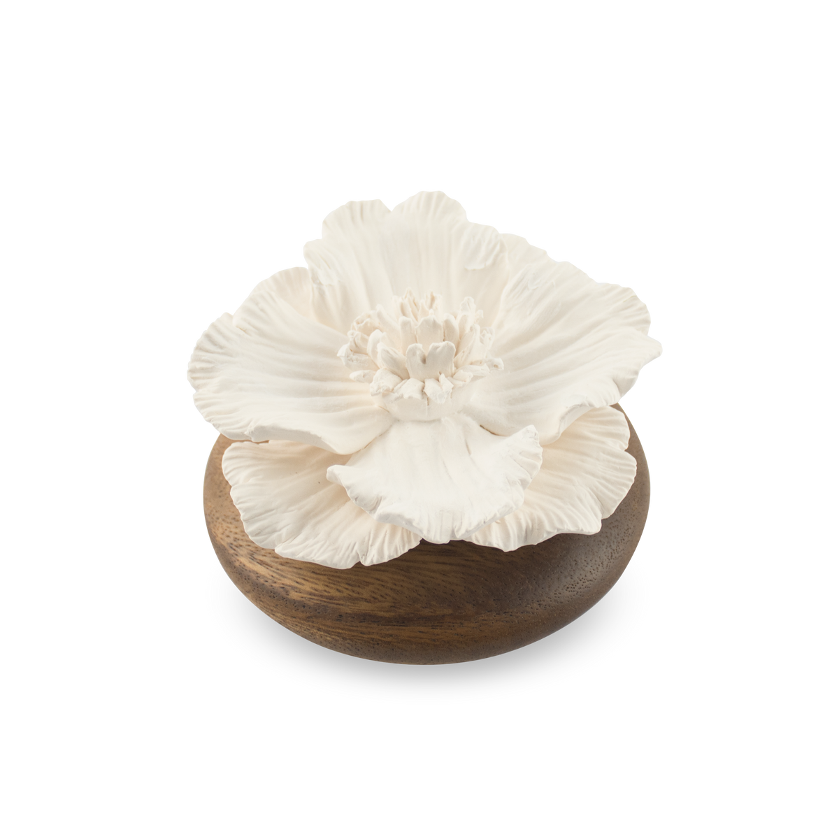 Anemone Flower Scenting Clay Diffuser (Short Bouquet) - HYSSES