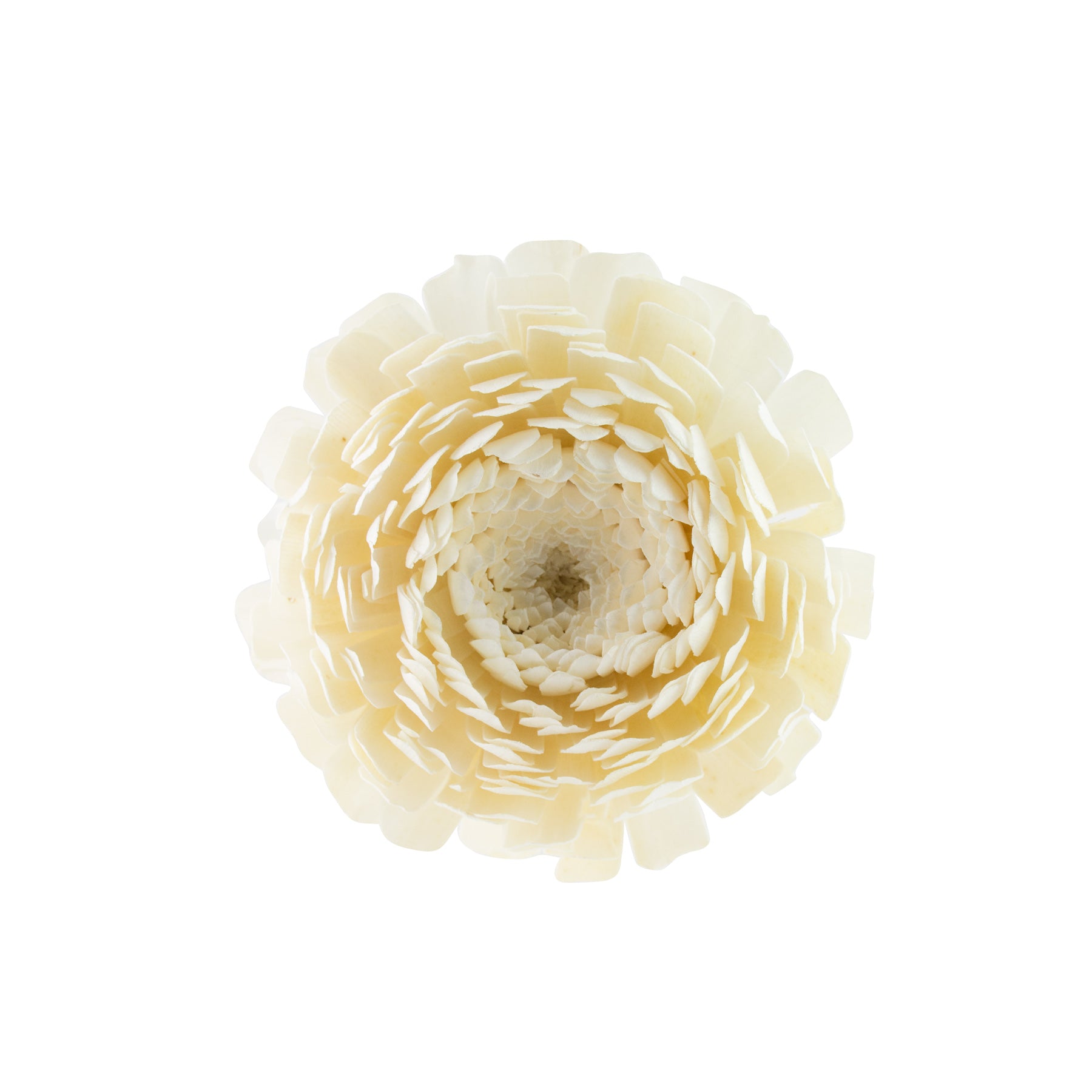 Solar Flower Diffuser Refill - Chrysanthemum - HYSSES